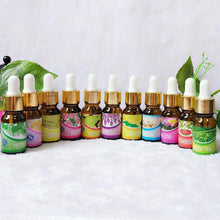 Brand New Water-soluble Oil Essential Oils(10 ml) for Aromatherapy Lavender Oil Humidifier Oil with 12 Kinds of Fragrance Jasmine