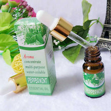 Brand New Water-soluble Oil Essential Oils(10 ml) for Aromatherapy Lavender Oil Humidifier Oil with 12 Kinds of Fragrance Jasmine