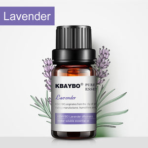 Essential Oil for Diffuser,Water-soluble Oil（10 ml） for Aromatherapy Humidifier 3 Kinds Fragrance of Lavender, Tea Tree,Lemongrass